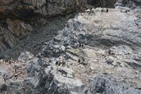 
DSC00176